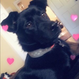 Meet your Posher, Maggie